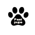 Past Puppies